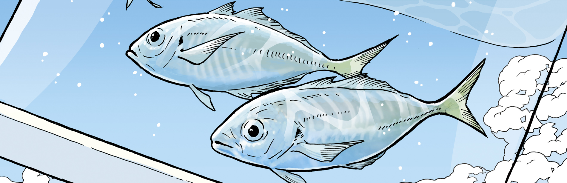 Dヘッド アタックパック 15g～50g 釣具の卸売り 世界の釣具マルシン漁具