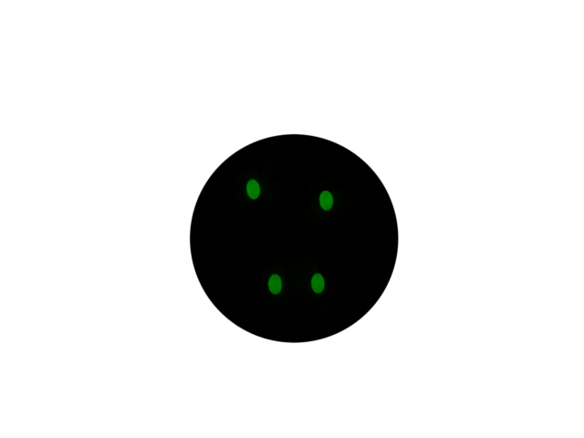 ちょい投仕掛50cm 3枚パック(2本針2セット入り) 6号~10号ギャラリーイメージ画像